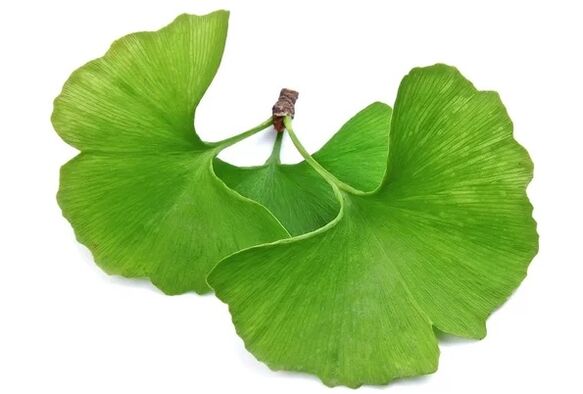 A OstyHealth ginkgo biloba-t tartalmaz