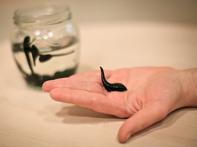 alkalmazás a térdízület arthrosisának kezelésére